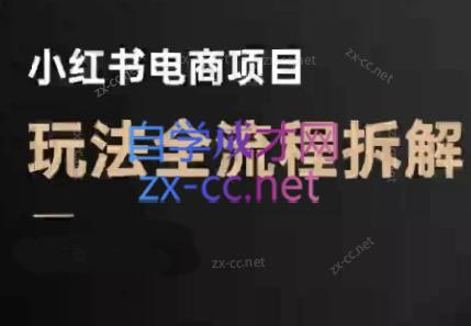 菲菲老师·小红书电商玩法(更新7月)-创业网 - 最新网络创业项目与实战营销教程平台 | cye.cc