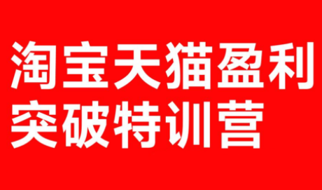 玺承·淘宝天猫盈利突破特训营(25年12月线下课)【音频+字幕】-创业网 - 最新网络创业项目与实战营销教程平台 | cye.cc