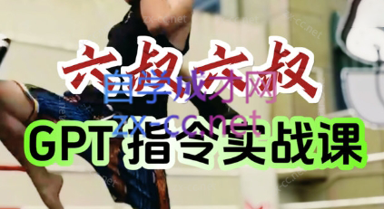 六叔的AI指令实战课(更新7月)-创业网 - 最新网络创业项目与实战营销教程平台 | cye.cc