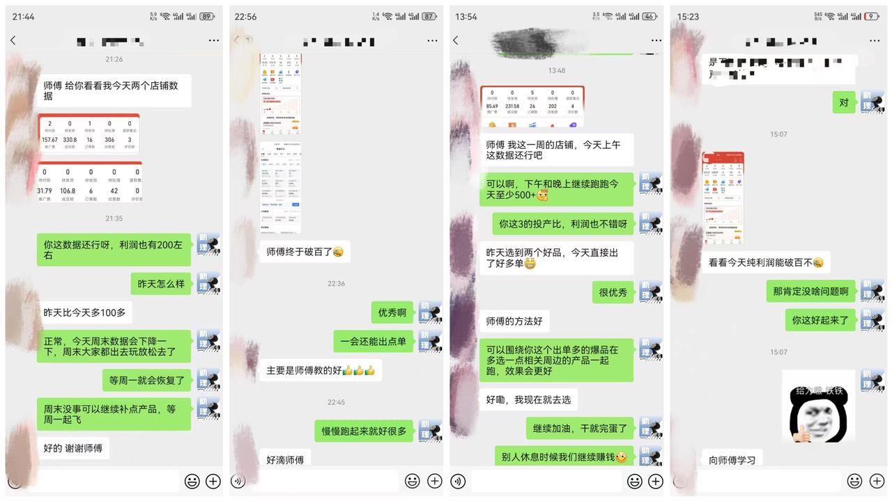 【PDD虚拟电商】单人单店操作，日盈利三位数