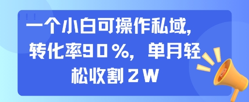 一个小白可操作私域，转化率90%，单月轻松收割2W-创业网 - 最新网络创业项目与实战营销教程平台 | cye.cc