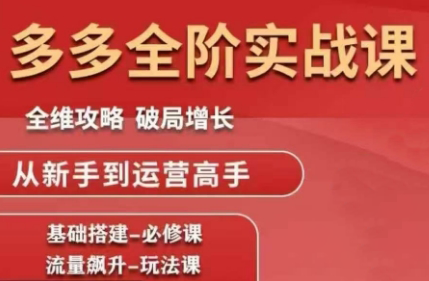 大炮·拼多多全阶实战课程(更新2026)-创业网 - 最新网络创业项目与实战营销教程平台 | cye.cc