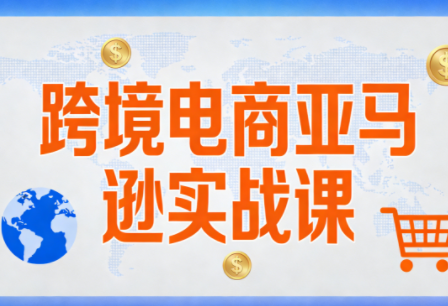 丝丝老师·跨境电商亚马逊实战课(更新2月)-创业网 - 最新网络创业项目与实战营销教程平台 | cye.cc