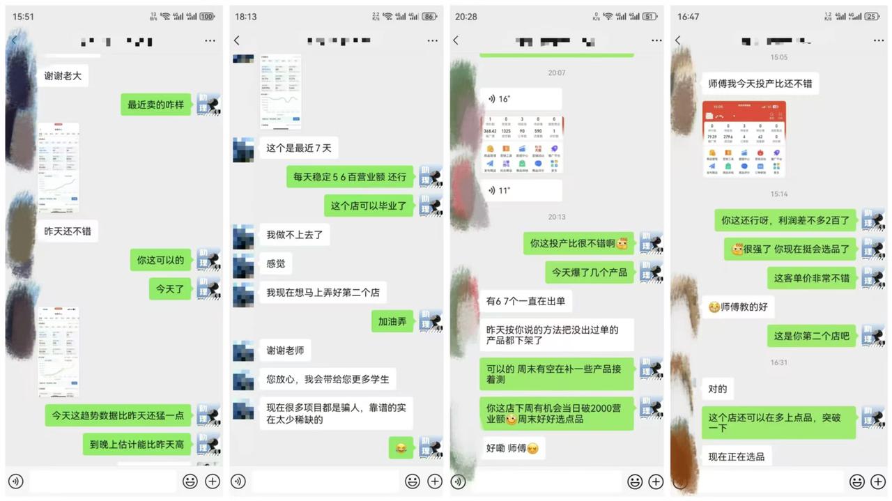 【PDD虚拟电商】单人单店操作，日盈利三位数